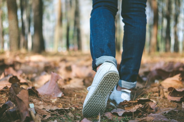 Photo low section of person walking in forest