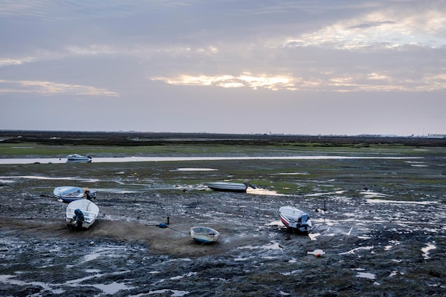 Low tide on the marshlands of Faro city