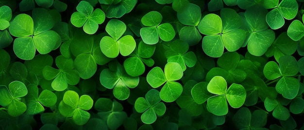 Luck of the Greens Top View Background of Green Shamrocks