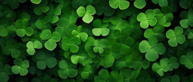 Luck of the Greens Top View Background of Green Shamrocks