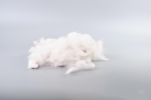 A lump of cat hair on a gray isolated background