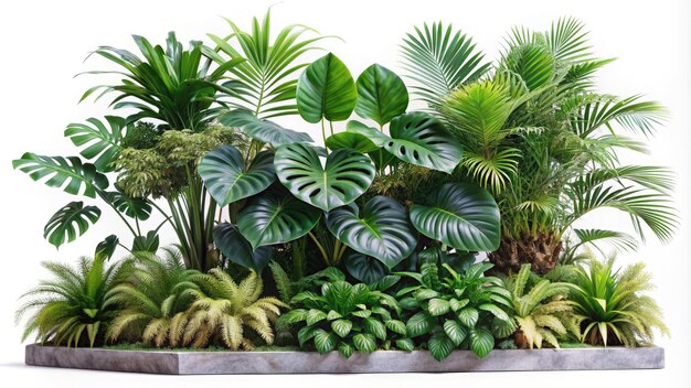 Photo lush collection of tropical plants featuring monstera and palm leaves indoors generative ai