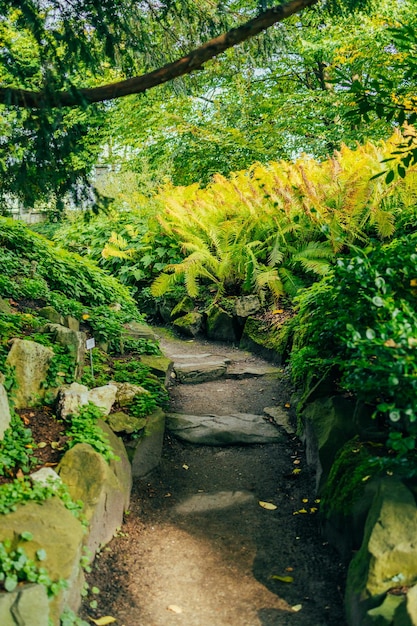 Lush green botanical garden Blooming spring flowers and lawn path