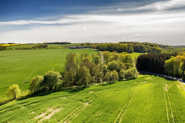 Lush green countryside of Jutland Denmark with copyspace Sustainable organic farm rural landscape of tranquil grass bushes and trees Peaceful woodland with calming soothing scenic views