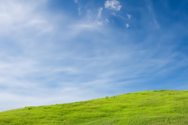 Lush green field with blue sky and wispy clouds