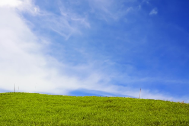 Lush green grass field with a bright blue sky and white clouds