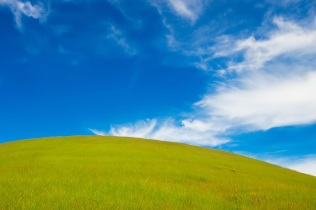 Photo lush green hill under a bright blue sky with white clouds