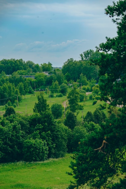 Photo lush green landscape with trees and distant houses