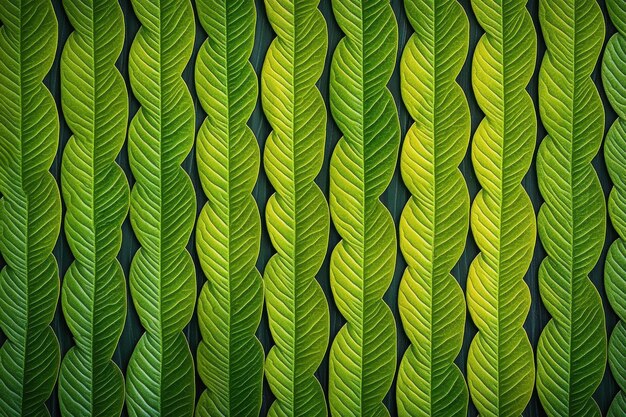 Photo lush green leaves arranged in a patterned design creating a vibrant wall of nature