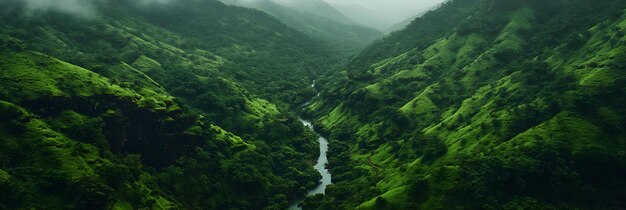 Photo lush green valleys with a winding river