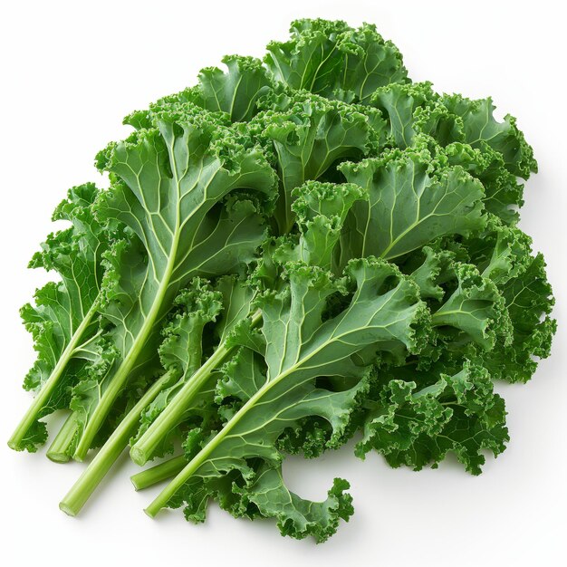 Lush Kale Leaves with Stems on a Pristine White Background