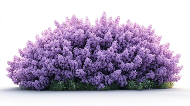 Photo lush lavender bush with green foliage generative ai