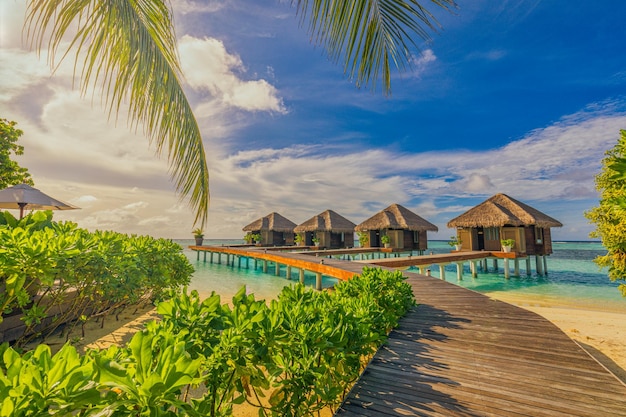 Luxury beach resort water villas and palm tree leaves over white sand, close to blue sea, seascape