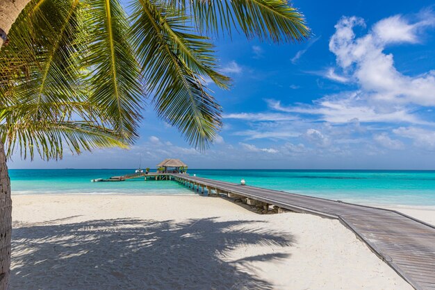 Luxury beach resort water villas over palm tree leaves white sand ocean lagoon blue sea seascape bay