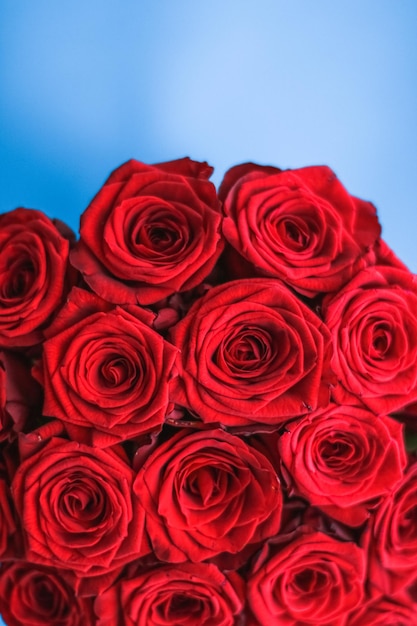 Luxury bouquet of red roses on blue background flowers as a holiday gift