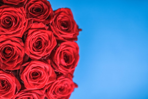 Luxury bouquet of red roses on blue background flowers as a holiday gift