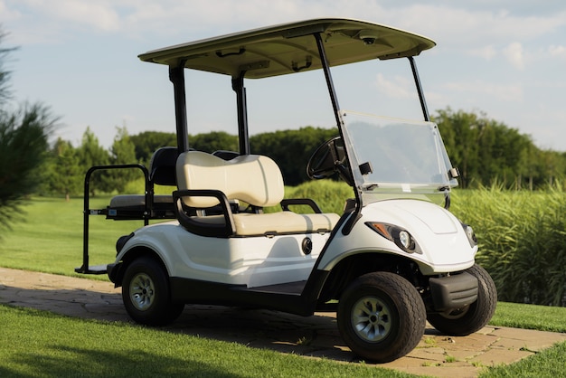 Luxury Golf Car on Fresh Green Course in Sunset.