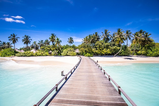 Luxury Maldives resort with water villas and palm tree leaves blue sea, seascape. Travel background