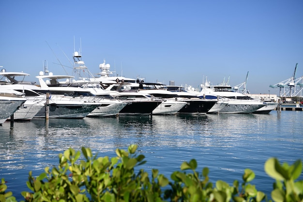 Luxury sea boats docked in yacht berth in Miami, USA.