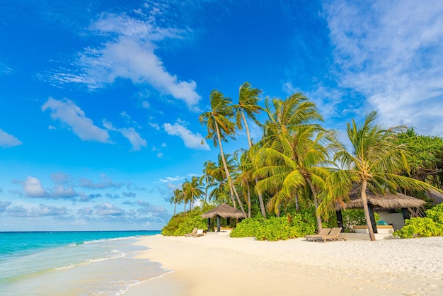 Luxury travel resort destination idyllic nature landscape palm tree sand sky amazing tropical beach