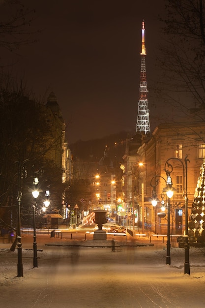 Lviv Ukraine January 8 2019 view of snowed winter city park