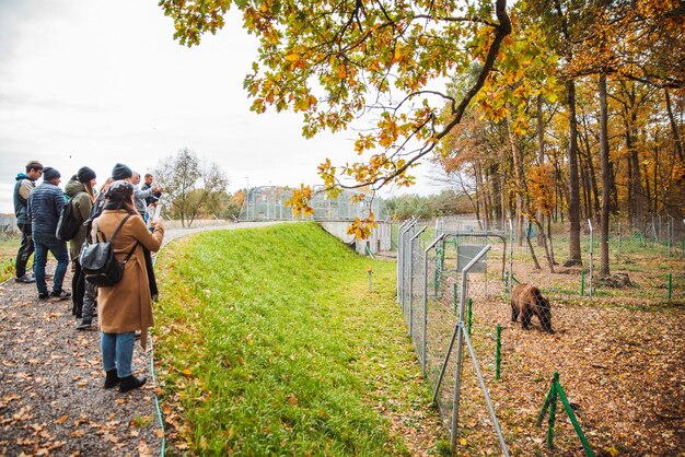 Lviv Ukraine October 21 2018 people walking by bear rehabilitation center