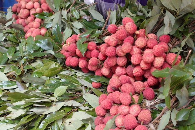 Lychee and green leaf displaying for sale