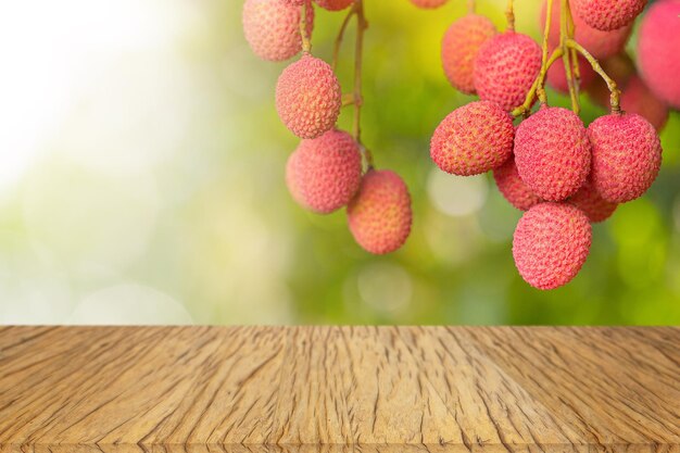 Lychee on tree