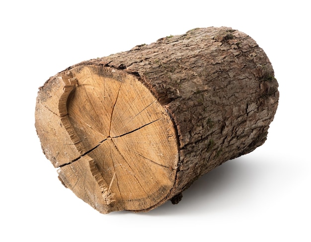 Lying stump isolated on a white background