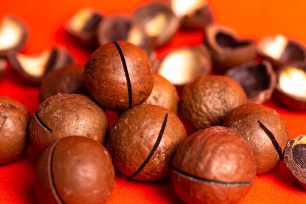 macadamia nut closeup on a red background