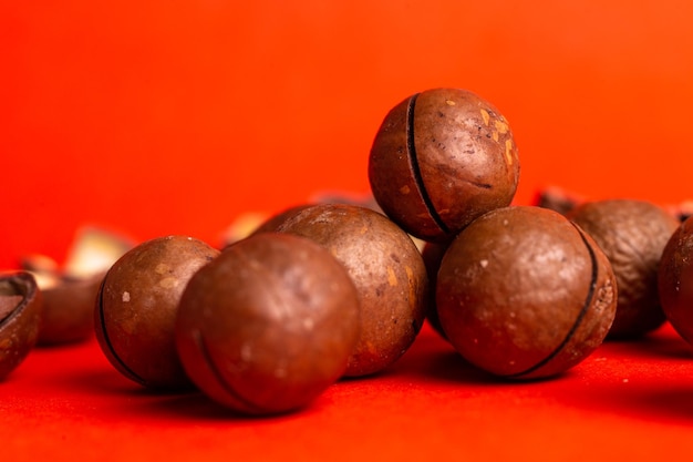 macadamia nut closeup on a red background