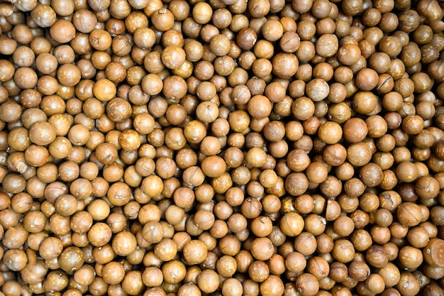 Macadamia nuts texture background fresh natural shelled raw macadamia nuts in a full frame close up pile of roasted macadamia nut top view