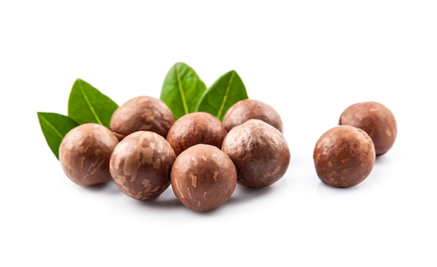 Macadamia nuts with leaves on white backgrounds.