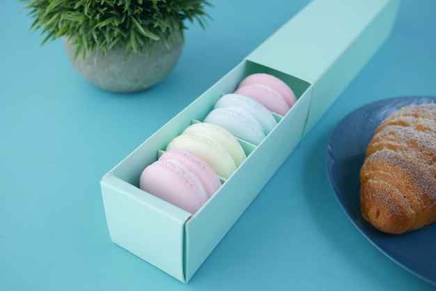 Macaroon in a paper box on light green background