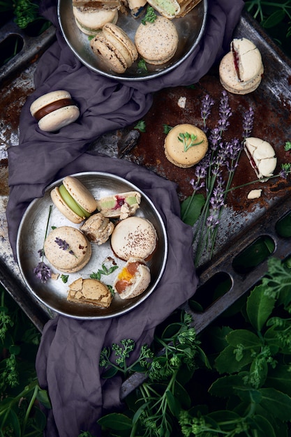 Macaroons on an old baking tray and a lavender flowers as a decoration among green bushes. Top view.