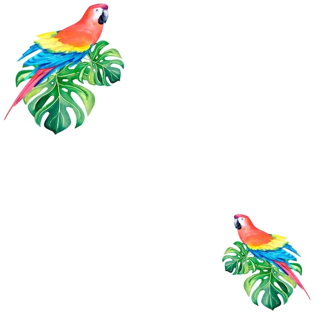 Macaw parrot in the tropical jungle Monstera Palm branch Tropical composition watercolor illustration on an isolated background