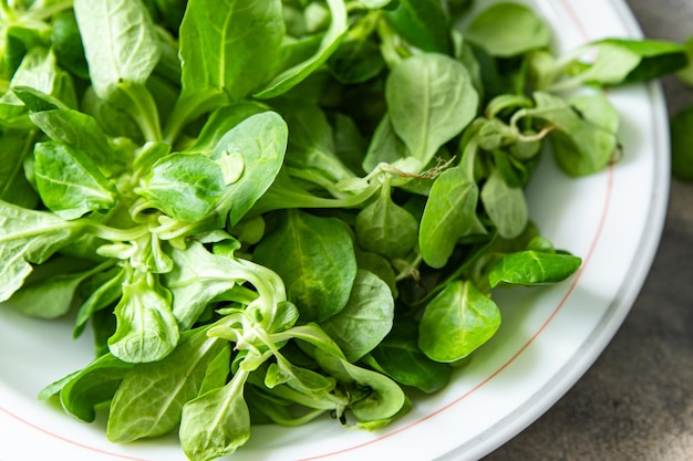 mache salad green corn leaves mung bean lettuce fresh healthy meal food snack diet on the table