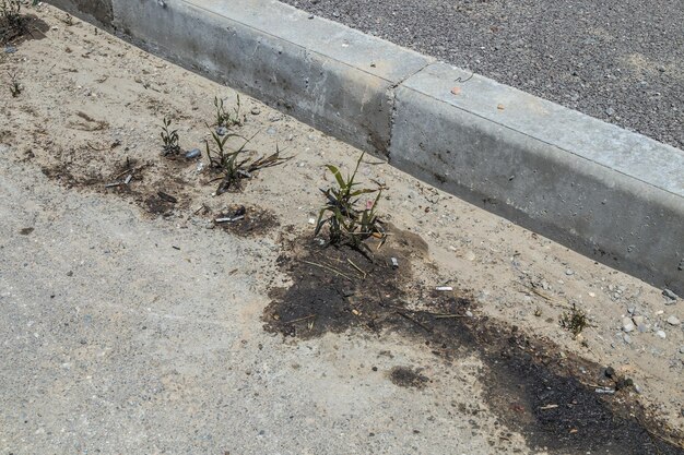 Machine oil stains on grass and asphalt Environmental pollution Ecological disaster