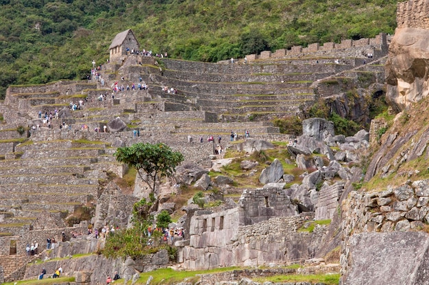 Machu Picchu  and agriculture terraces , Incan sacred city ruins, Lost city of Inkas, cusco, peru.