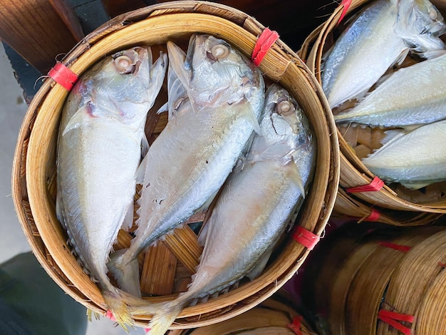 Mackerel fish in the basket for sale