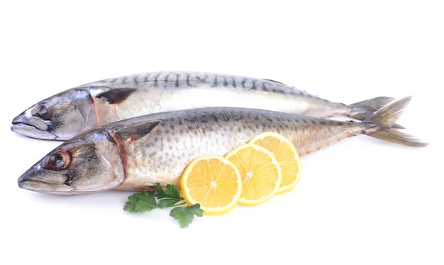 Mackerel with lemon on white background