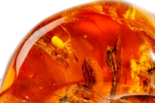 Macro Amber mineral stone with spider on white background