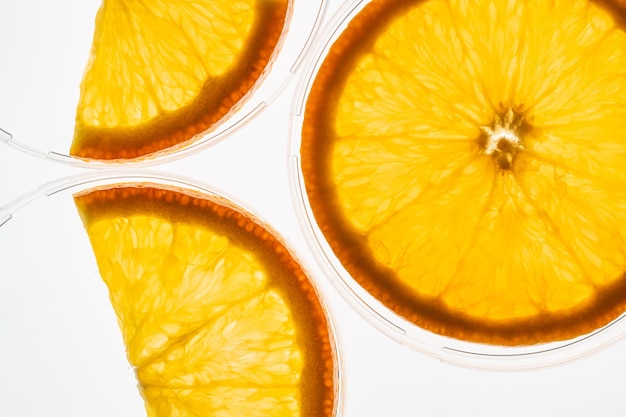 Macro of a backlit transparent orange slices showing the pulp detail