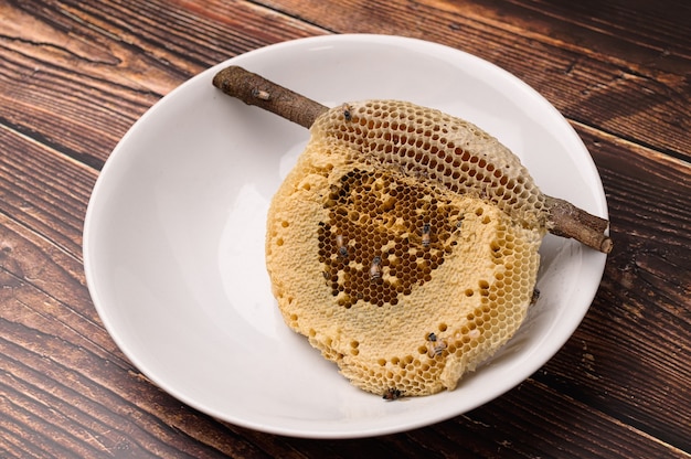 Macro bee and honeycomb nature