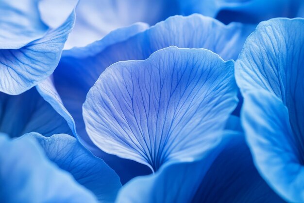 Macro closeup of delicate blue flower petals showcasing intricate textures and shades in soft natural light