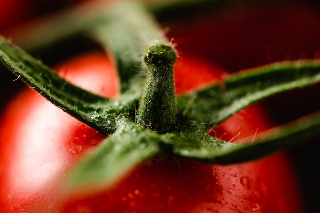 Macro closeup of tasty italian tomato