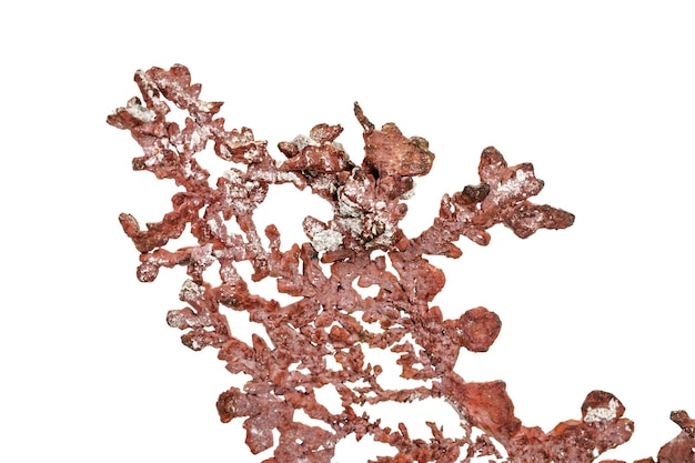 Macro copper mineral stone on white background