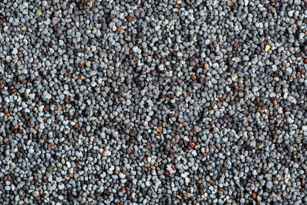 Macro of dried poppy seeds as a background.