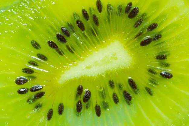 Macro kiwislice of kiwi fruit on a full frame horizontal formatClose up on Kiwi fruit