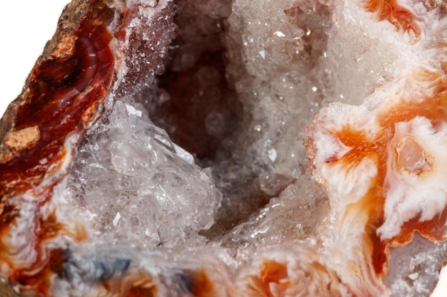 Macro mineral stone agate kidney gerbera on white background close up